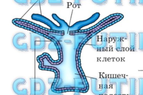 Кракен макет плейс