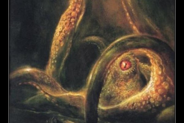 Kraken что это за магазин