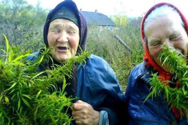 Кракен даркнет маркет