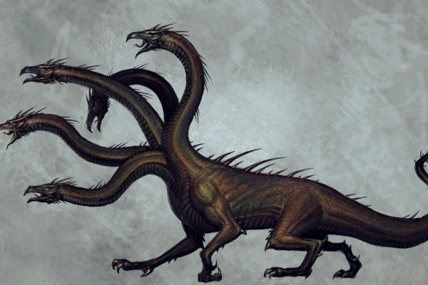 Kraken link
