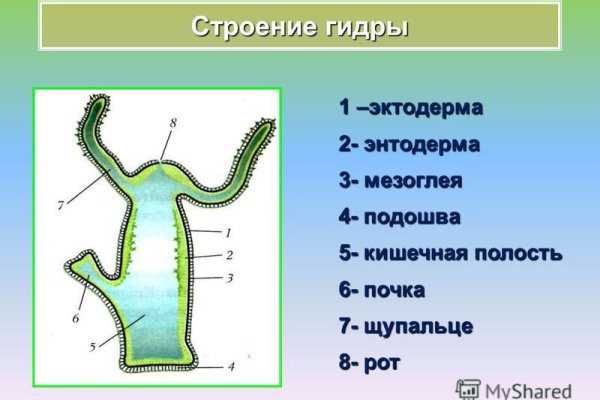 Ссылка на кракен реальная